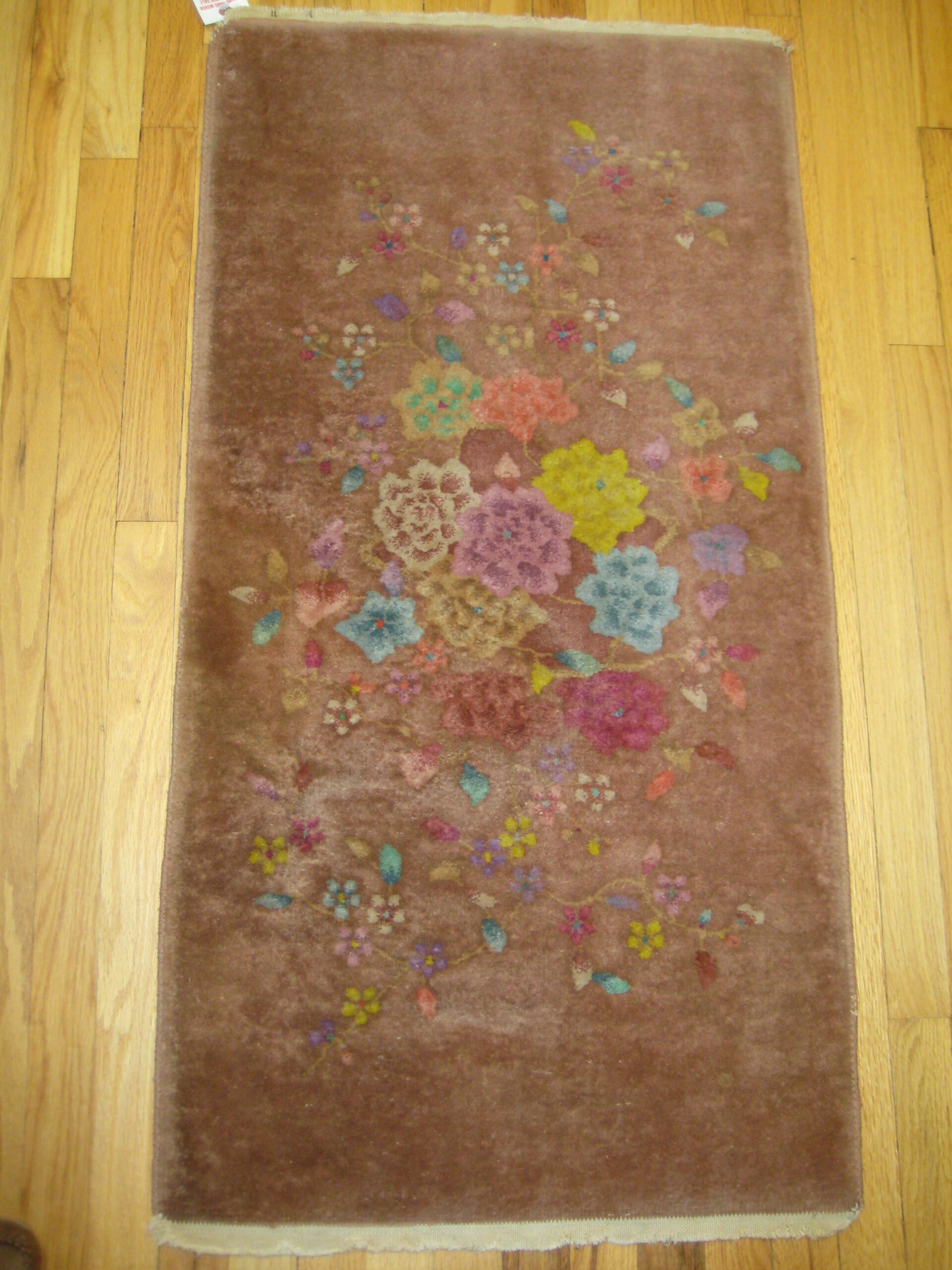 52249 - Sino Nichols (Rose)